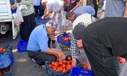 Alıcı bulamadığı 4 ton domatesi ücretsiz dağıttı