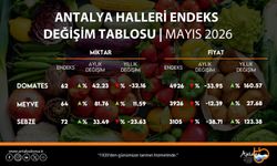 Antalya halleri domates, meyve ve sebze değişimleri