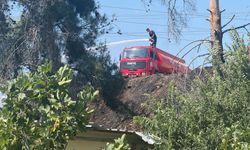 Antalya'da 2 orman yangını