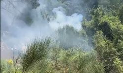 Antalya'da orman yangını havadan ve karadan müdahaleyle kontrol altına alındı