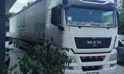Ara sokakta trafiği kilitleyen TIR sürücüsüne 359 bin TL ceza