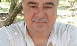 Araçlar kafa kafaya çarpıştı: 1 ölü 2 yaralı