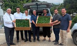 Bahçe'de üreticilere domates ve biber fidesi dağıtıldı