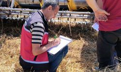 Biçerdöverler kontrol ediliyor