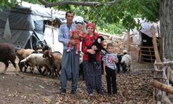 Büyükşehir destekledi, ailenin üretimi büyüdü