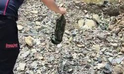 Halının arasına giren yılanı itfaiye yakaladı