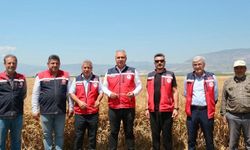 Hatay'da buğday hasadı