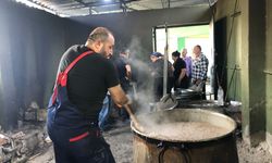 Hatay'da 'hirisi' mesaisi
