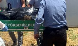 Kokudan rahatsız olan komşuların ihbarıyla cansız bedeni bulundu