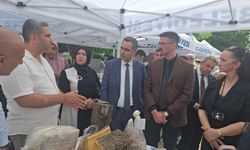 Kozan HEM'den yıl sonu sergisi
