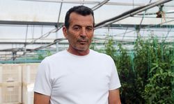 Kumluca'da biber üreticisinin hasat mesaisi