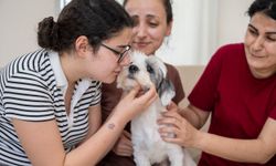 Mersin'de bin 927 can dost yeni yuvasına kavuştu