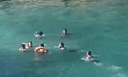 Mersin'de deniz ortasında sopalı kavga kamerada