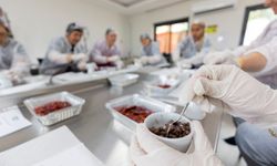 Mersin'de kan portakalı çikolatayla buluştu