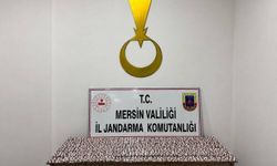 Mersin'de uyuşturucu operasyonu: 1 tutuklama