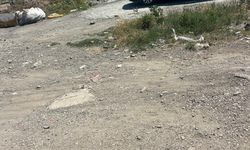 Osmaniye'de akrabalar arasında silahlı kavga; 1 ölü, 4 gözaltı