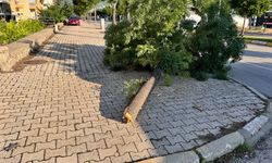 Otomobil ağaca çarpıp ters döndü