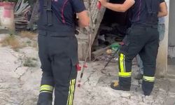 Paniğe neden olan yılanı itfaiye ekipleri yakaladı