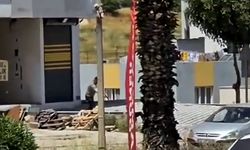 Para istediği babası tarafından çıkan tartışmada öldürülmüştü; toprağa verildi