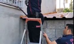 Patisi korkuluklara sıkışan kediyi itfaiye kurtardı