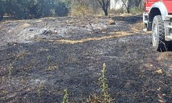 Silifke'de otluk alan yangını