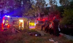 Sulama kanalına düşen keçiyi kurtarmak isterken hayatını kaybetti