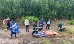 Tur midibüsü şarampole devrildi: 4 ölü, 26 yaralı / Ek fotoğraflar