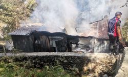 Yayla evinde çıkan yangın ormana sıçramadan söndürüldü