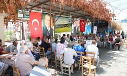 Akdeniz'de meyve sineğiyle mücadele sürüyor