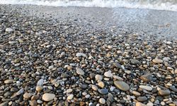 Akdeniz'de yavru caretta heyecanı/Ek fotoğraflar