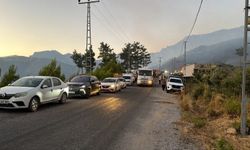 Alanya'da orman yangını (3)