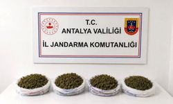 Alanya'da uyuşturucu operasyonu