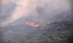 Antalya'da 3 günde 8 ilçede 34 yangın çıktı