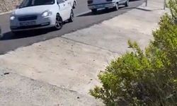 Antalya'da kamyonet, uçuruma yuvarlandı; aynı aileden 5 kişi öldü, 2 yaralı
