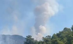 Antalya'daki orman yangınına müdahale ikinci günde de sürüyor (3)