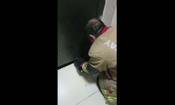 Asansör boşluğuna düşen kedi kurtarıldı