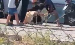 Ayrılmak isteyen eşini döven şüpheli tutuklandı