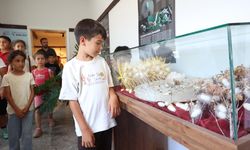 Büyükşehir Sapadere İpek Evi'ne ziyaretçi akını