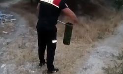 Evin bodrumuna giren yılan itfaiye tarafından yakalandı