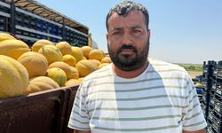 Hatay'da kavun hasadı başladı; tarlada kilosu 22 TL