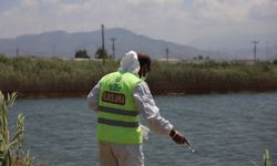 HBB'den ilaçlama seferberliği