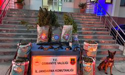 Kadirli'de uyuşturucu operasyonu: 4 gözaltı