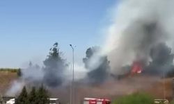Kamyonette çıkan yangın otluk alana sıçradı