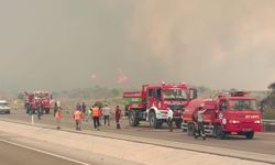 Kumluca'da orman yangını (2)