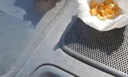Kuyumculara sahte altın diş satan 4 şüpheli tutuklandı