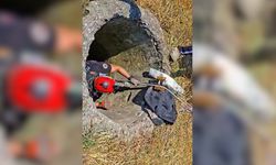 Kuyuya düşen keçi kurtarıldı