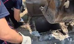 Mazgala düşen kedi itfaiye tarafından kurtarıldı