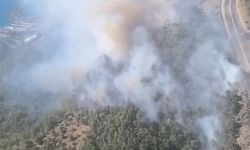 Mersin'de orman yangını