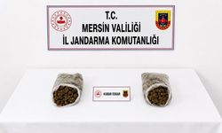 Mersin'de uyuşturucu operasyonunda 2 tutuklama