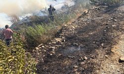Muz ve avokado bahçeleri yangında zarar gördü